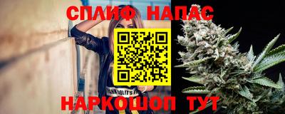 прущие грибы Малгобек