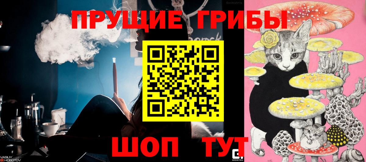 Псилоцибиновые грибы ЛСД  Вход с VPN  Фролово  Псилоцибиновые грибы Psilocybe 